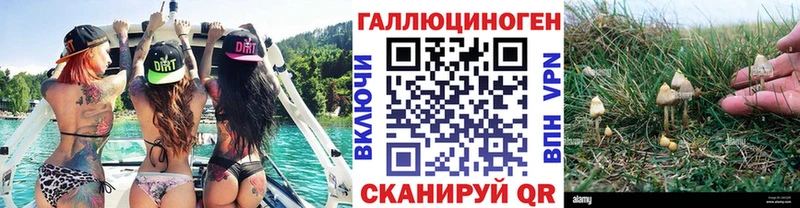 магазин продажи   Знаменск  Галлюциногенные грибы Cubensis 